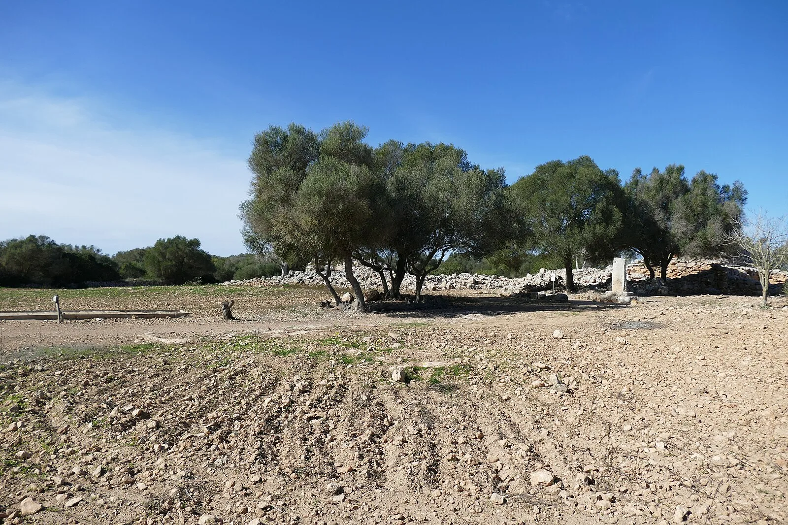 Capocorb Vell